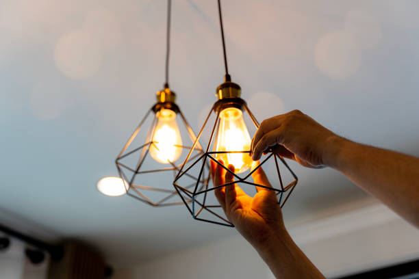Best Electrical Repair Services  in Durant, MS
