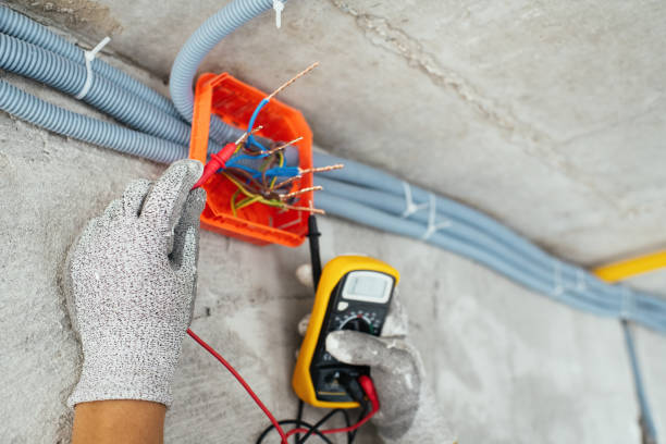 Best Home Electrical Repair  in Durant, MS